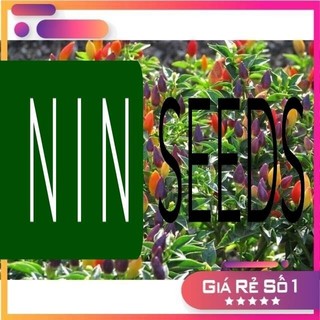 (50-70 hạt) Hạt giống ớt Chỉ Thiên Ngũ Sắc - HGNK