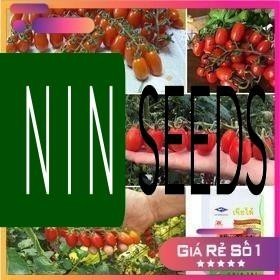 HẠT GIỐNG CÀ CHUA CHERRY ANH ĐÀO F1 - ĐỎ - HGNK