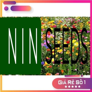 100H - Hạt giống hoa dại sân vườn kết hợp - mix 25 loại - HGNK