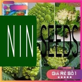 Hạt Giống Súp Lơ San Hô - 200 hạt