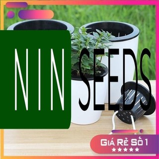 Chậu trồng cây thông minh tự tưới nước - size lớn đường kính 13cm (ảnh thật) - HGNK