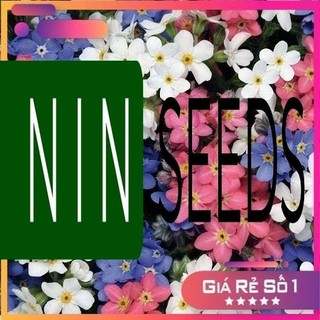 Hạt giống hoa lưu ly - Forgetmenot F1 Mix - 50H -HGNK
