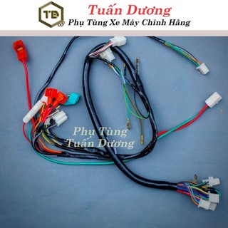 Bộ Dây Điện TD Lắp Sườn Dream Thái Dream Việt Hàng Dày Dặn Bền Bỉ-Bộ Dây Diện Xe Máy Cao Cấp Lắp DreamThái,DreamViệt,Tàu