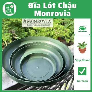 Đĩa lót chậu monrovia size 1gl,2gl, 3gl, 5gl,6gl,7gl