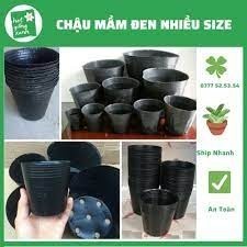 Combo 20 chậu mềm đen