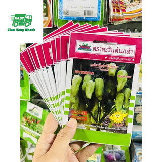 Hạt giống ớt đùi gà thái lan