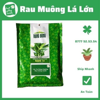 0.5kg Hạt Giống Rau Muống Lá Lớn - Dễ Trồng, Năng Suất Cao