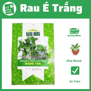 Hạt giống rau thơm Sả (Lá é)- húng trắng- 2 gram