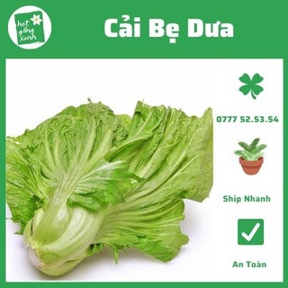 Cải Bẹ Dưa  Bau Sin F1 Nông Hữu- Known You VN(5 gram)
