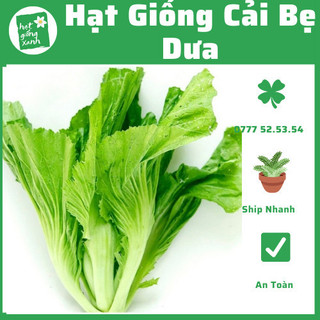Hạt giống cảu bẹ dưa(10g), dễ trồng chịu nhiệt tốt