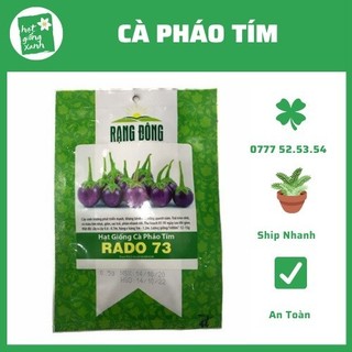 Cà Pháo Tím (0.5gr) phù hợp khí hậu VN
