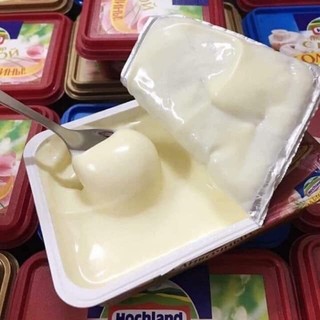PHÔ MAI TƯƠI HOCLAND NGA ĐỦ VỊ HỘP 200GR