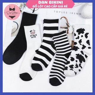 Tất Nữ Cổ Cao hoạ tiết hình bò sữa cute mềm mại kháng khuẩn mã T07