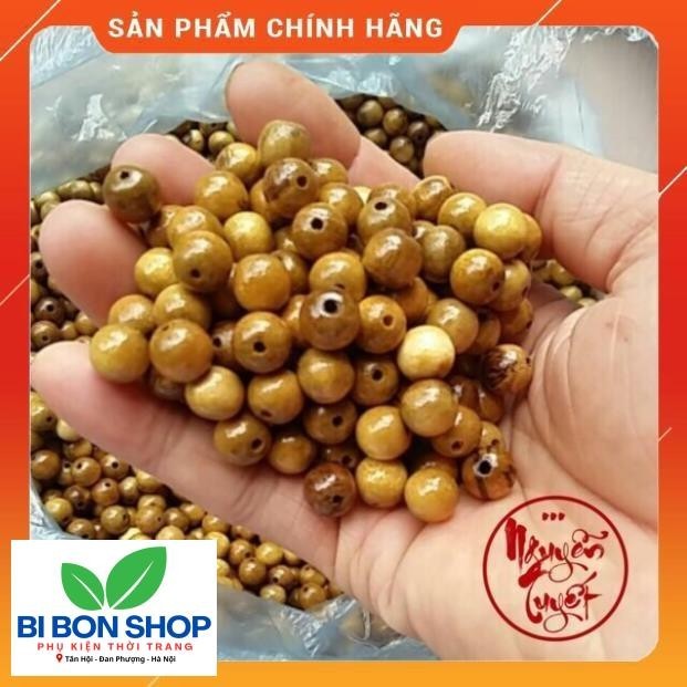 COMBO 1000g HẠT DÂU GỐC SIZE 8-10-12 LI (BI BON SHOP)