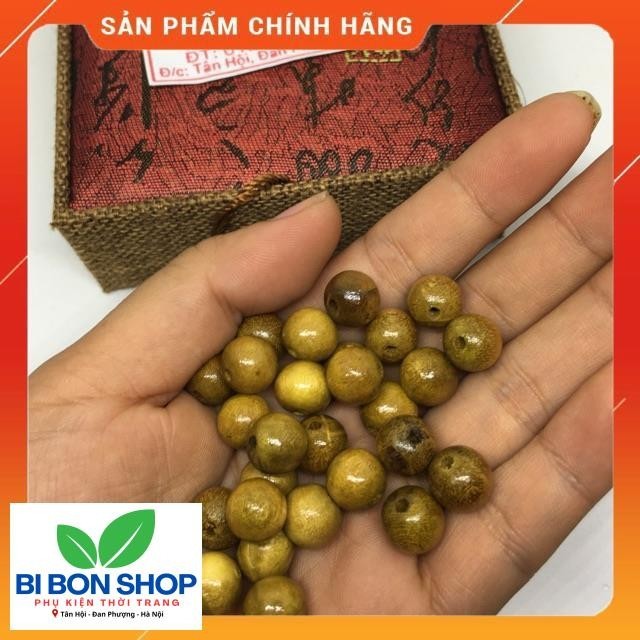 COMBO 500g HẠT DÂU 10 li (BI BON SHOP)