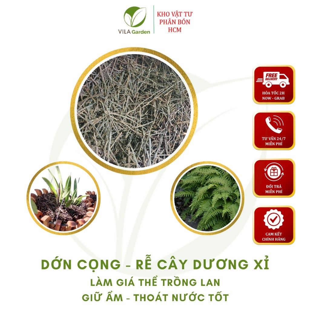 Dớn cọng trồng lan 200gr ( thoáng rễ, giữ ẩm tốt, ít mục)