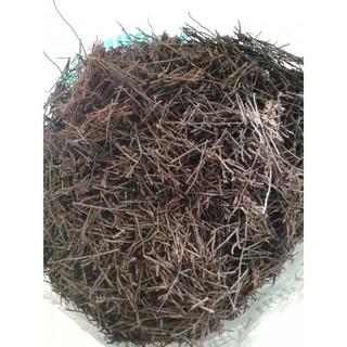 Dớn cọng trồng lan 200gr ( thoáng rễ, giữ ẩm tốt, ít mục)