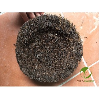 Dớn đĩa tròn trồng lan (đường kính khoảng 20cm)