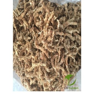 Dớn Chi-lê (Rêu sâu - dớn trắng - dớn Chile) hàng nhập xịn, đã xử lý (gói 100gr)