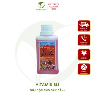 Phân Bón Lá Vitamin B12 Giải Độc Cho Cây Cảnh, Hoa Lan 100ml