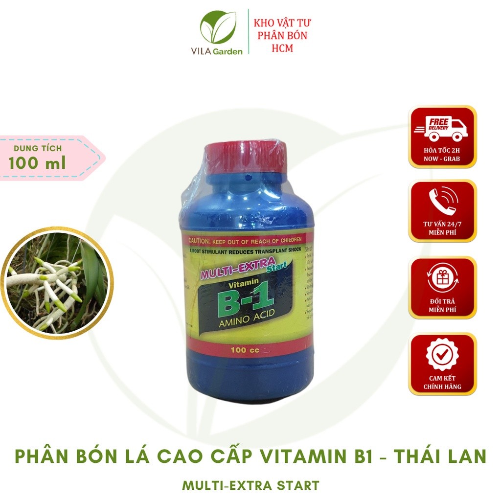 Vitamin B1 Thái Lan 100ml