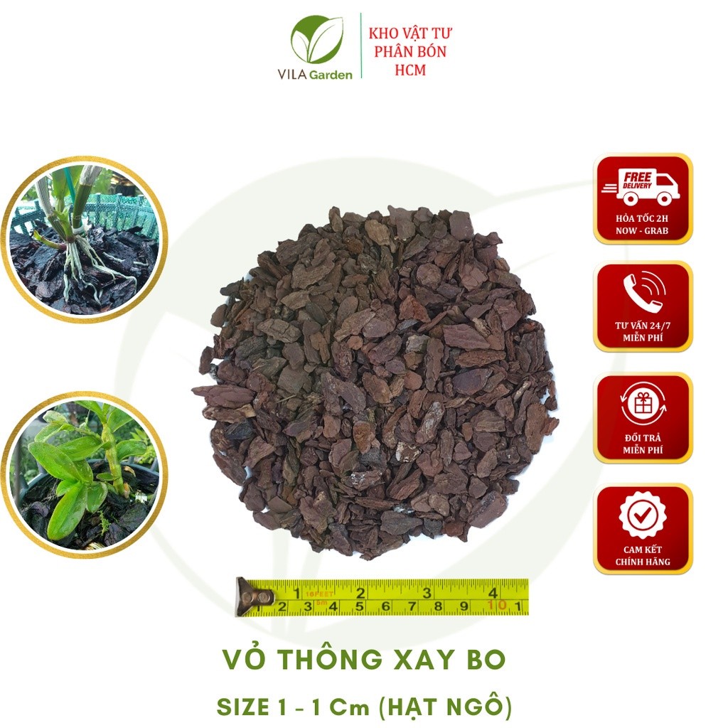 Vỏ Thông Xay Bo size 1-1cm (Túi 1kg)