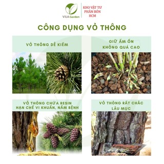 Vỏ Thông Xay Bo size 1-1cm (Túi 1kg)