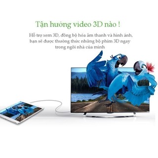 Cáp chuyển Micro HDMI Type D sang HDMI Type A UGREEN HD127 | Bảo hành 18 tháng 1 đổi 1