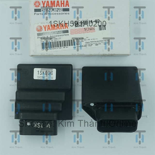 IC Luvias Fi Yamaha VN _ 1SKH591A0200