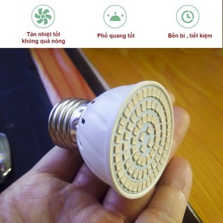 Bóng Đèn Trồng Cây 80 Led E27 220V
