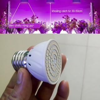Bóng Đèn Trồng Cây 80 Led E27 220V
