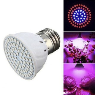Bóng Đèn Trồng Cây 80 Led E27 220V