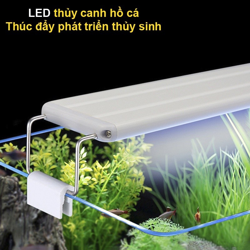 Đèn LED Thủy Sinh Gắn Thành Hồ Cá