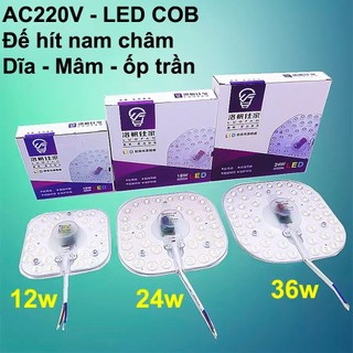 Đèn đĩa 12w24w36w LUOFAN Sáng trắng - Thay thế đèn compact, ốp tường trần nhà mọi vị trí