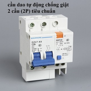 Cầu Dao Tự Động Chống giật 63A/2P DZ47LE Cho mọi nhà
