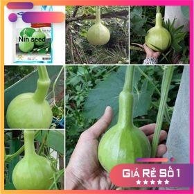 HẠT GIỐNG BẦU HƯƠNG PATAYA THÁI LAN - 15H - HGNK