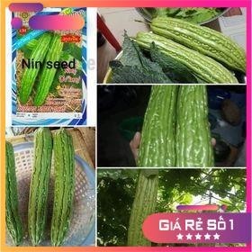 Hạt Giống Quả Mướp Đắng (Khổ Qua) Khổng lồ - HGNK