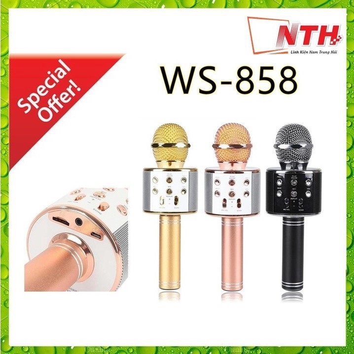 Mic hát karaoke 858