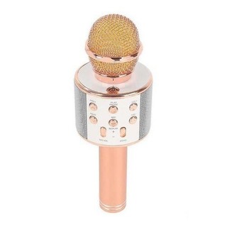 Mic hát karaoke 858