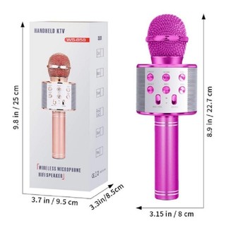 Mic hát karaoke 858
