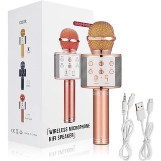 Mic hát karaoke 858