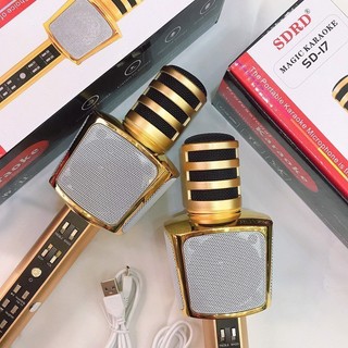 MIC KARAOKE 3IN1 SD-17