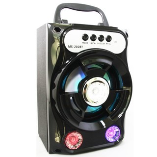 Loa gỗ Bluetooth xách tay MS-202BT