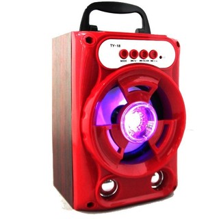 Loa Bluetooth xách tay TX-018
