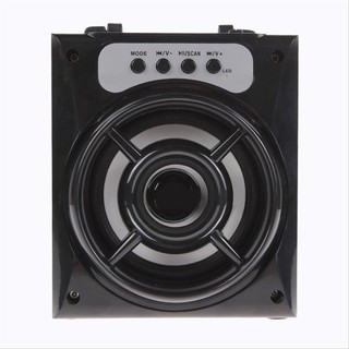 Loa gỗ Bluetooth xách tay MS-132BT