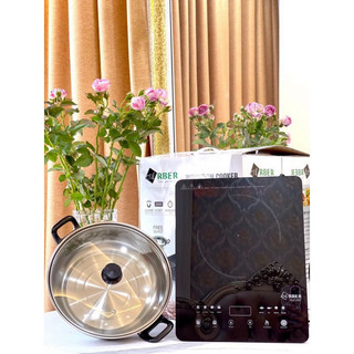 Bếp từ đơn AB301A Arber