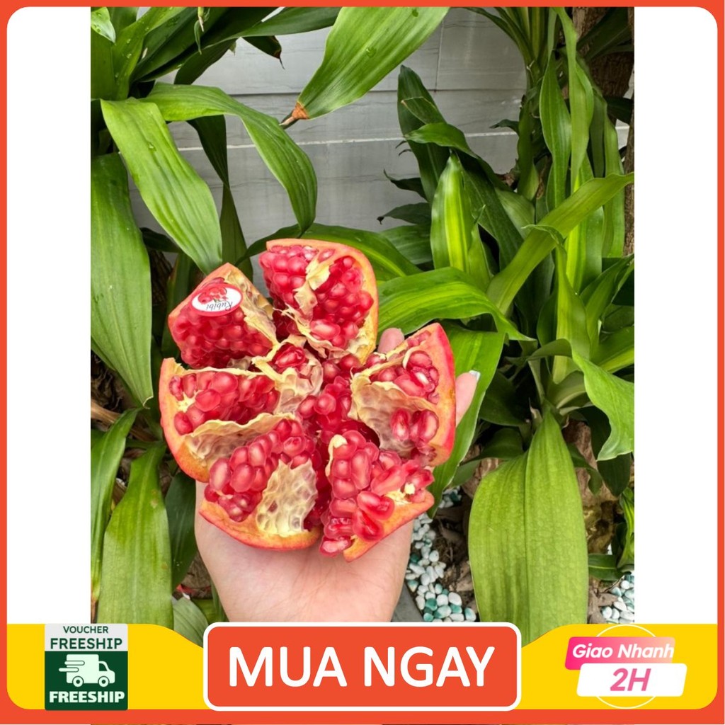 [ JENNY FRUIT ] Thùng lựu thái 3.5kg lun thùng