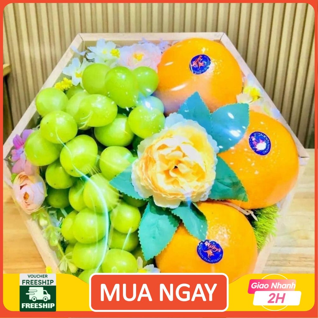 [ HOẢ TỐC ] [ JENNY FRUIT ] Giỏ quà tặng trái cây BT185