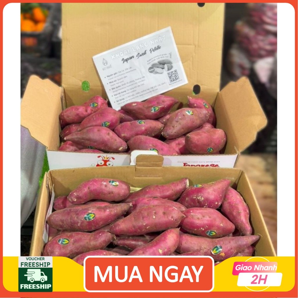 ( JENNY FRUIT ) COMBO 2KG KHOAI LANG NHẬT