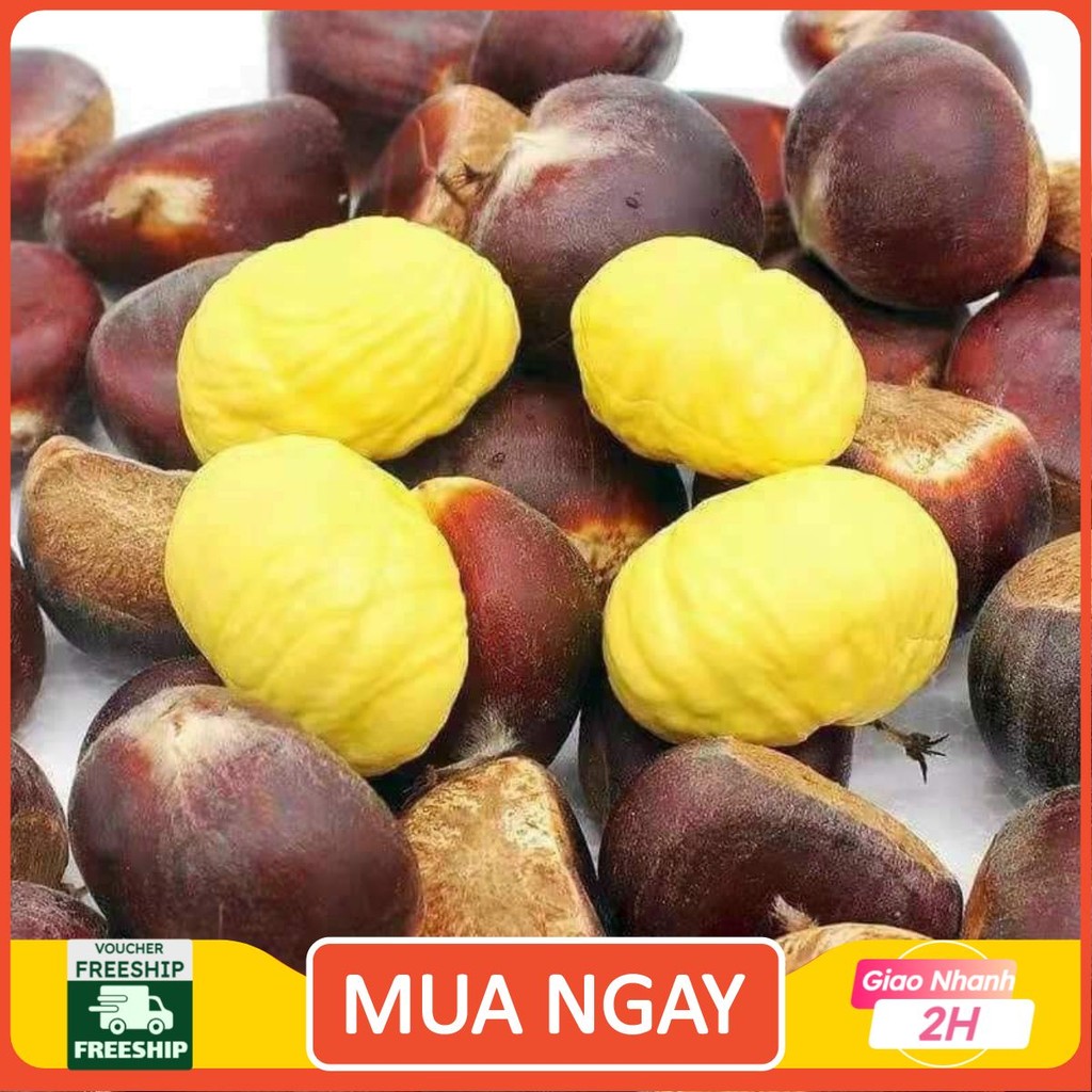 ( JENNYFRUIT) ( HỎA TỐC ) HẠT DẺ TƯƠI  1kg